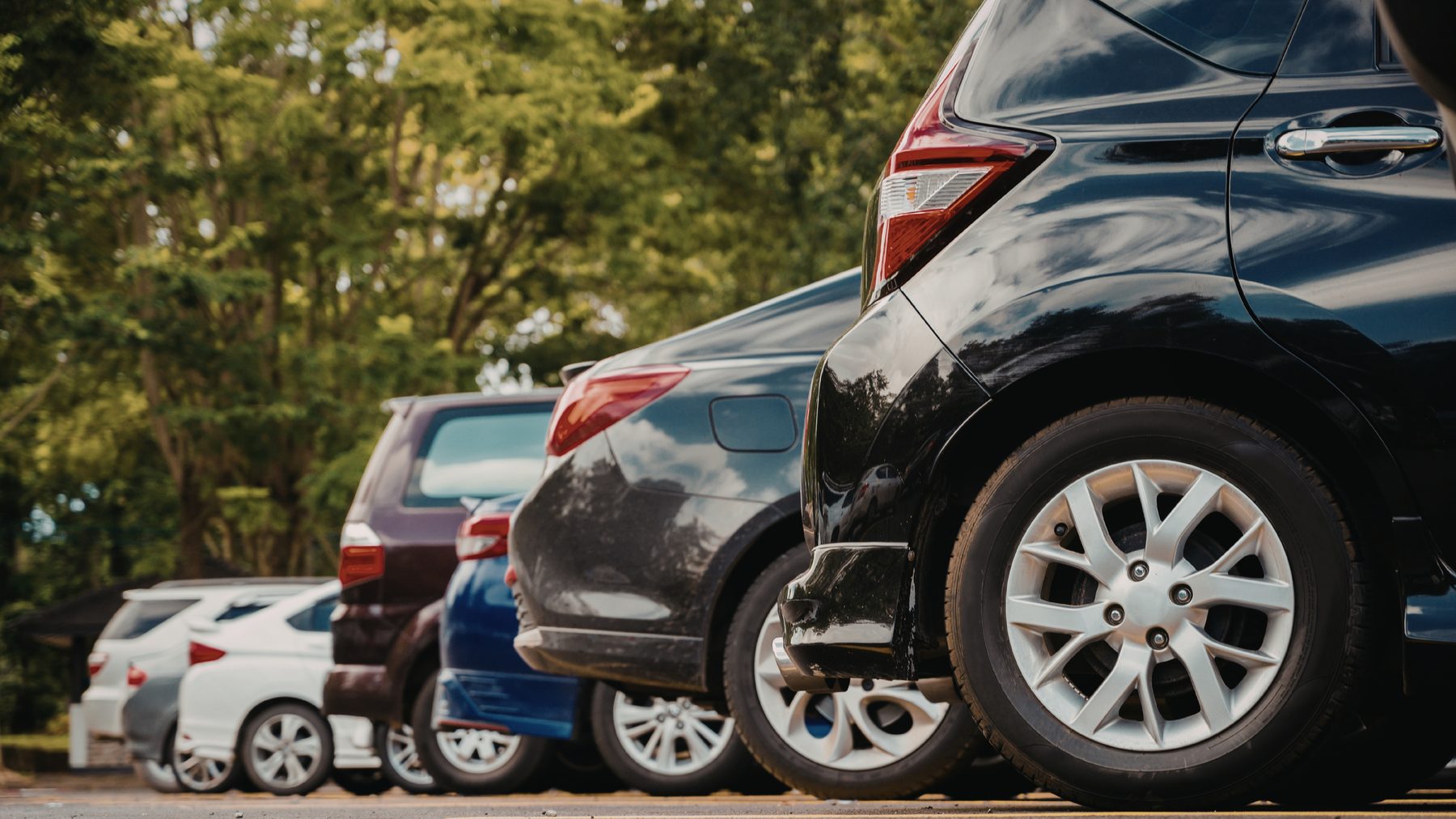 Road Tax Renewal